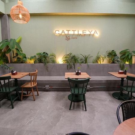 Apartamentos Housy Laureles Medellin Exterior photo